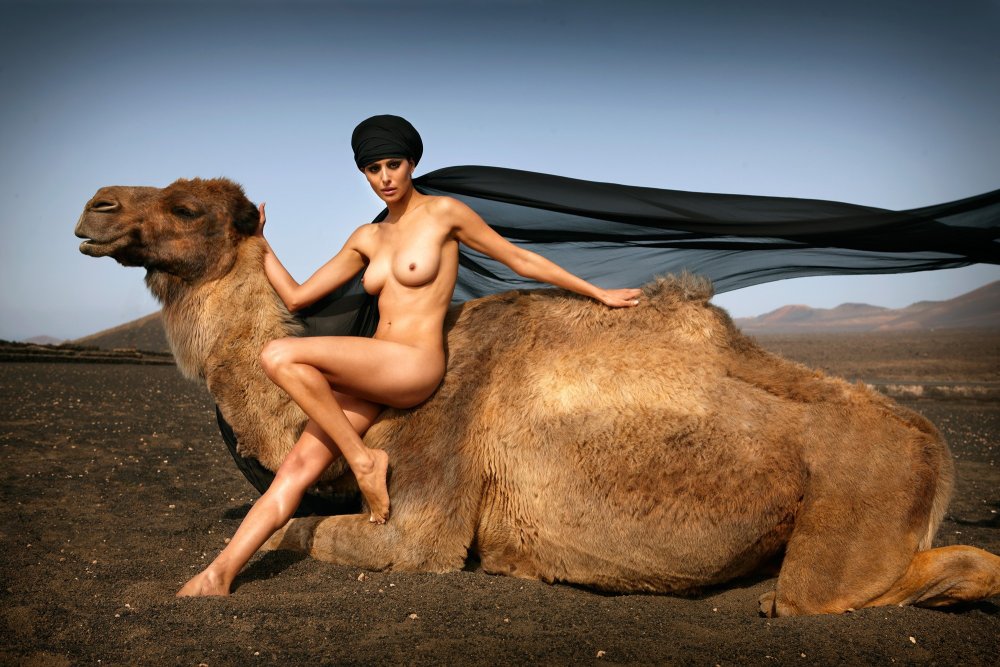 Naked photo shoot with a camel
