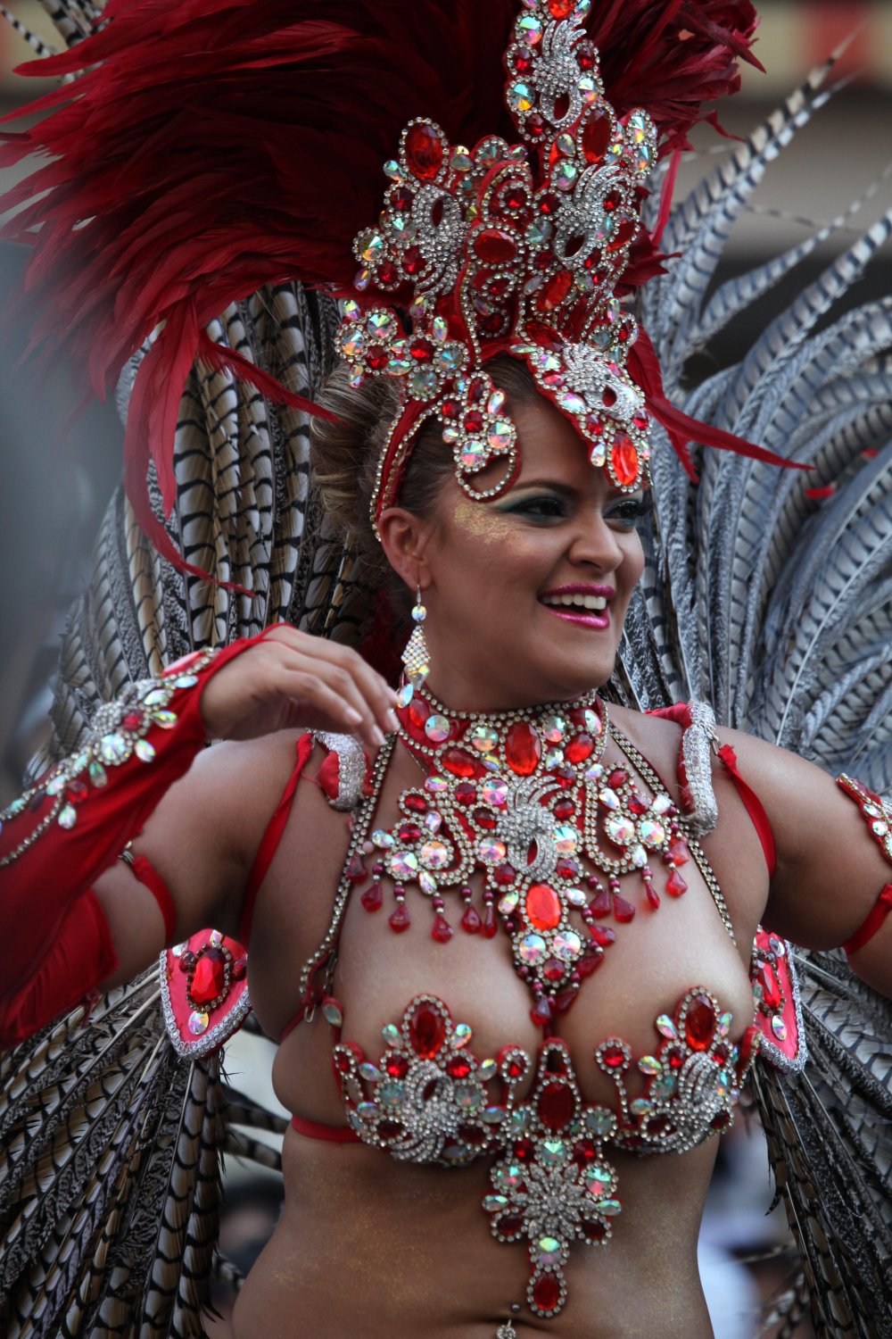 Carnival in Rio +18