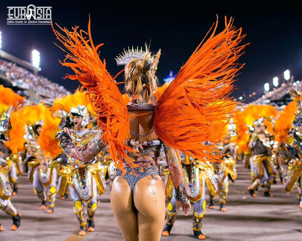 Carnival in Rio de Janeiro 18 +