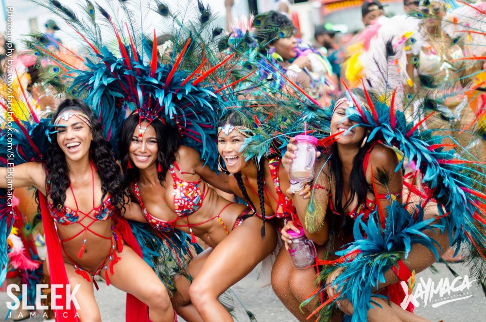 Carnival in Rio +18