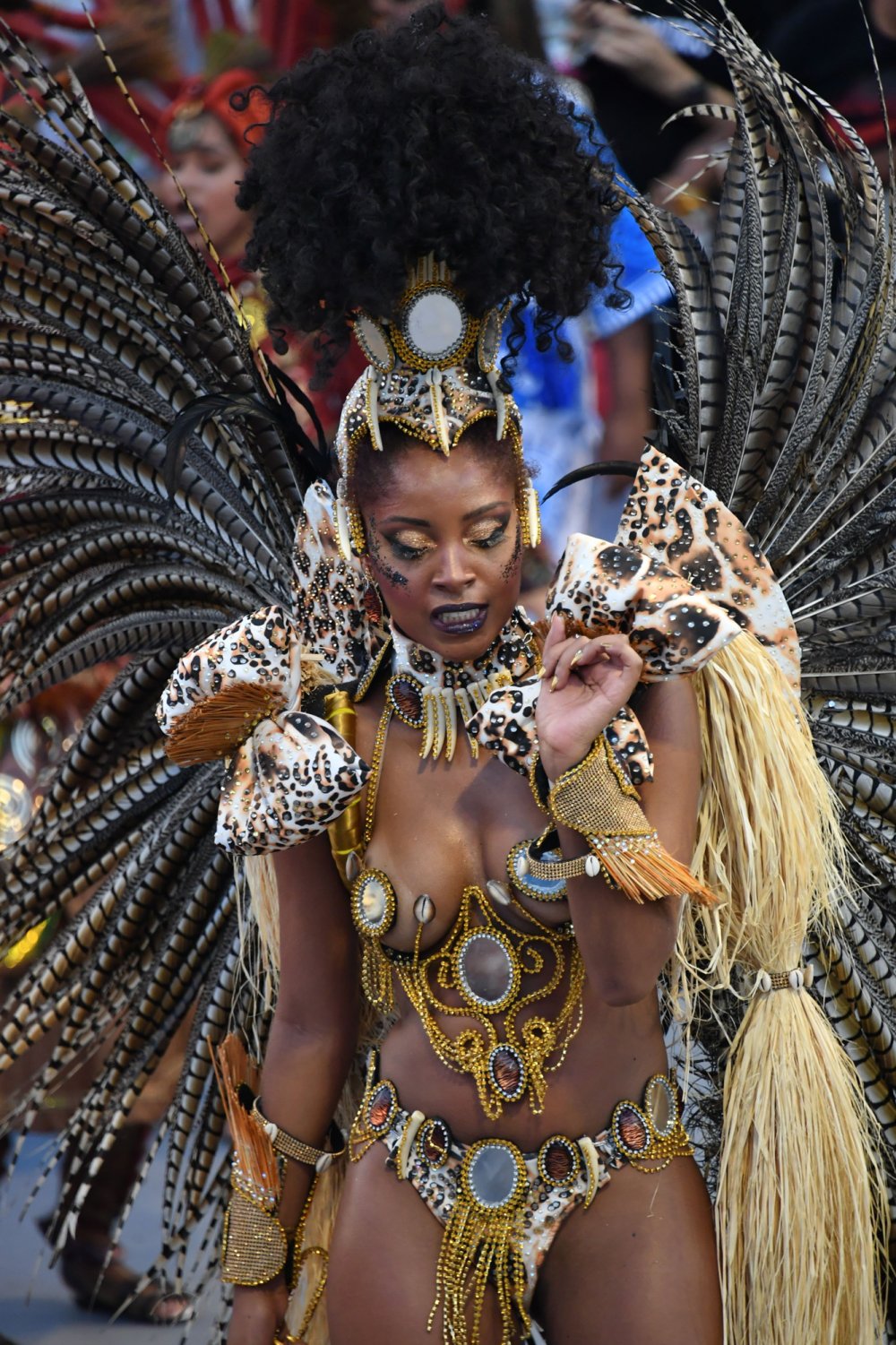 Carnival Jamaica Topless