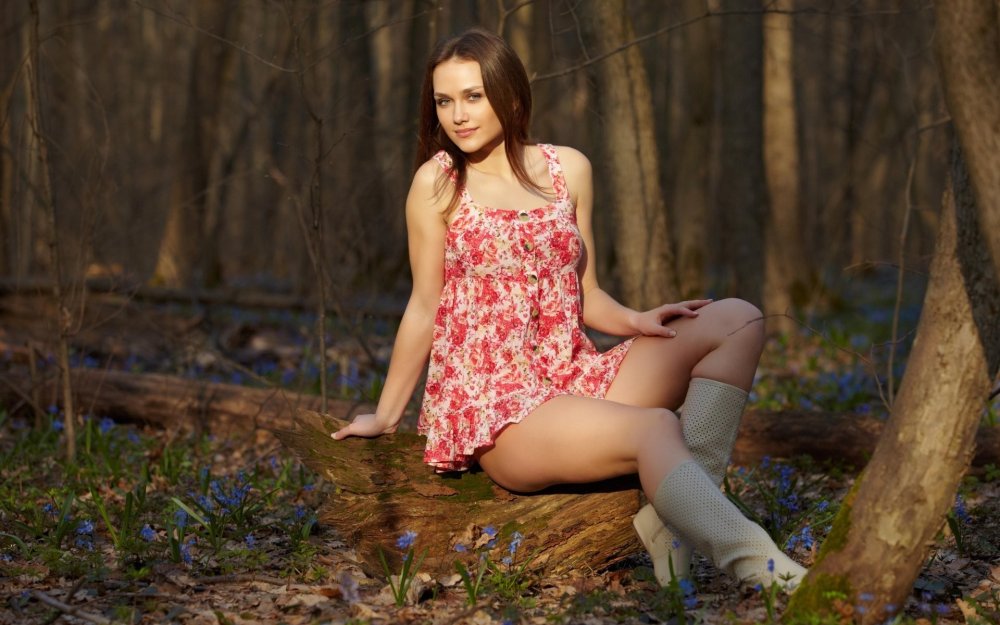 Liz Hani photo