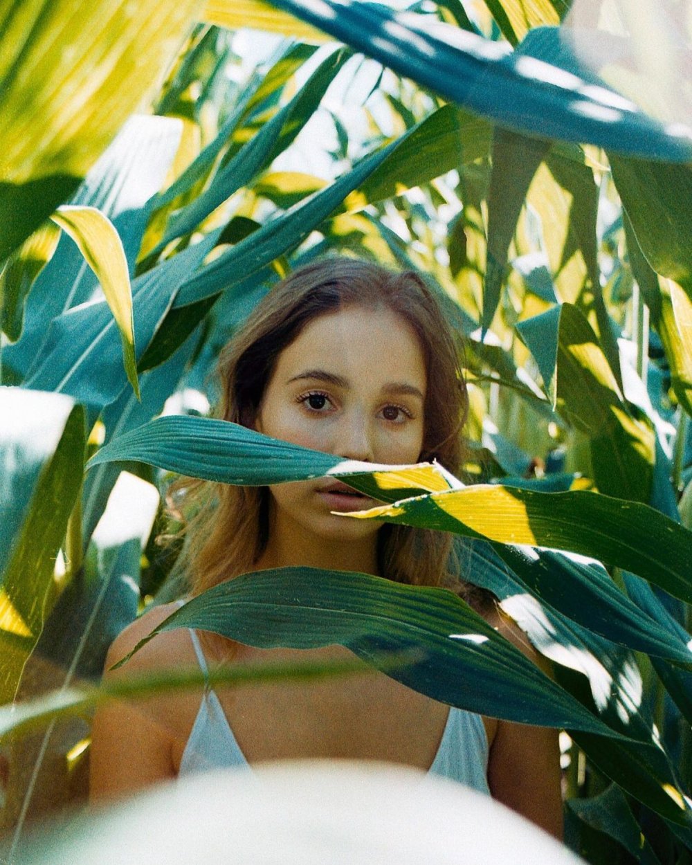 Baptist Daniela drain