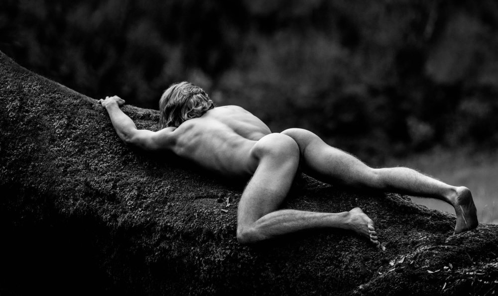 Male masturbation in nature
