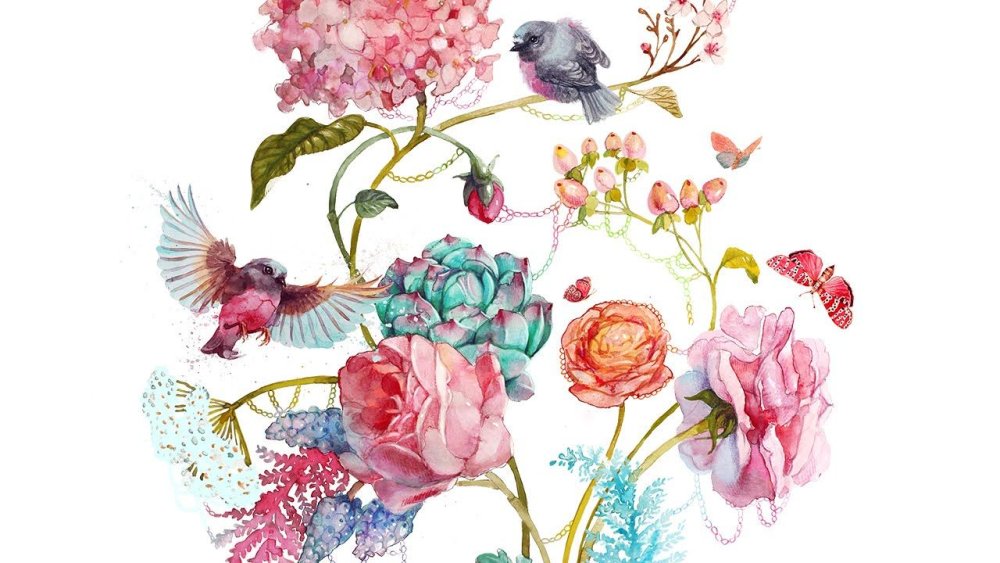 Flowers illustration