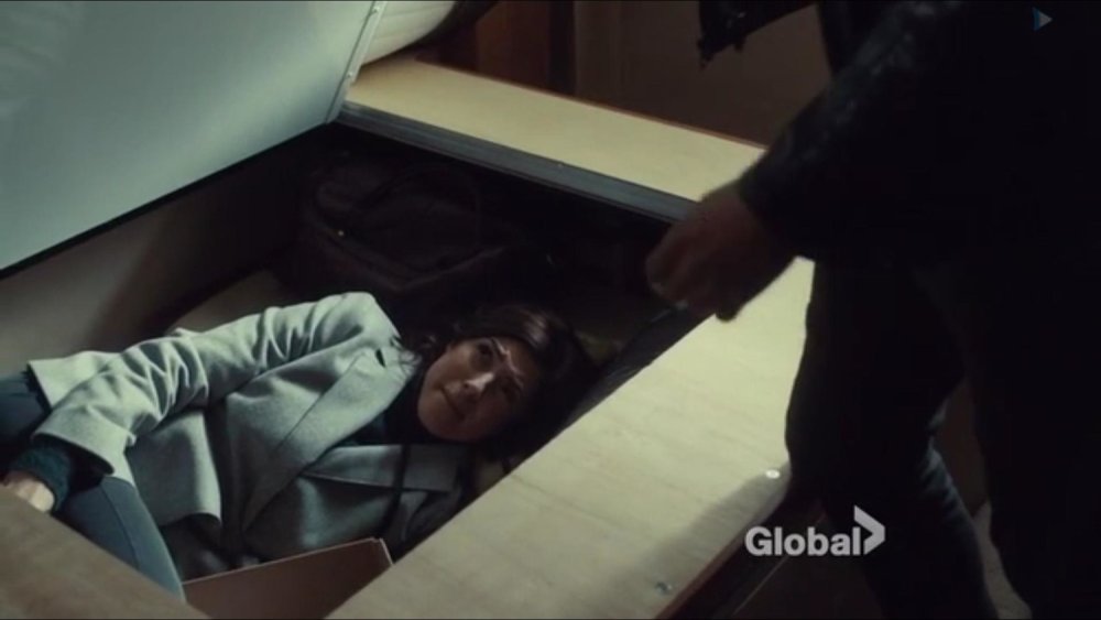 Cindy Sampson photo legs private detectives