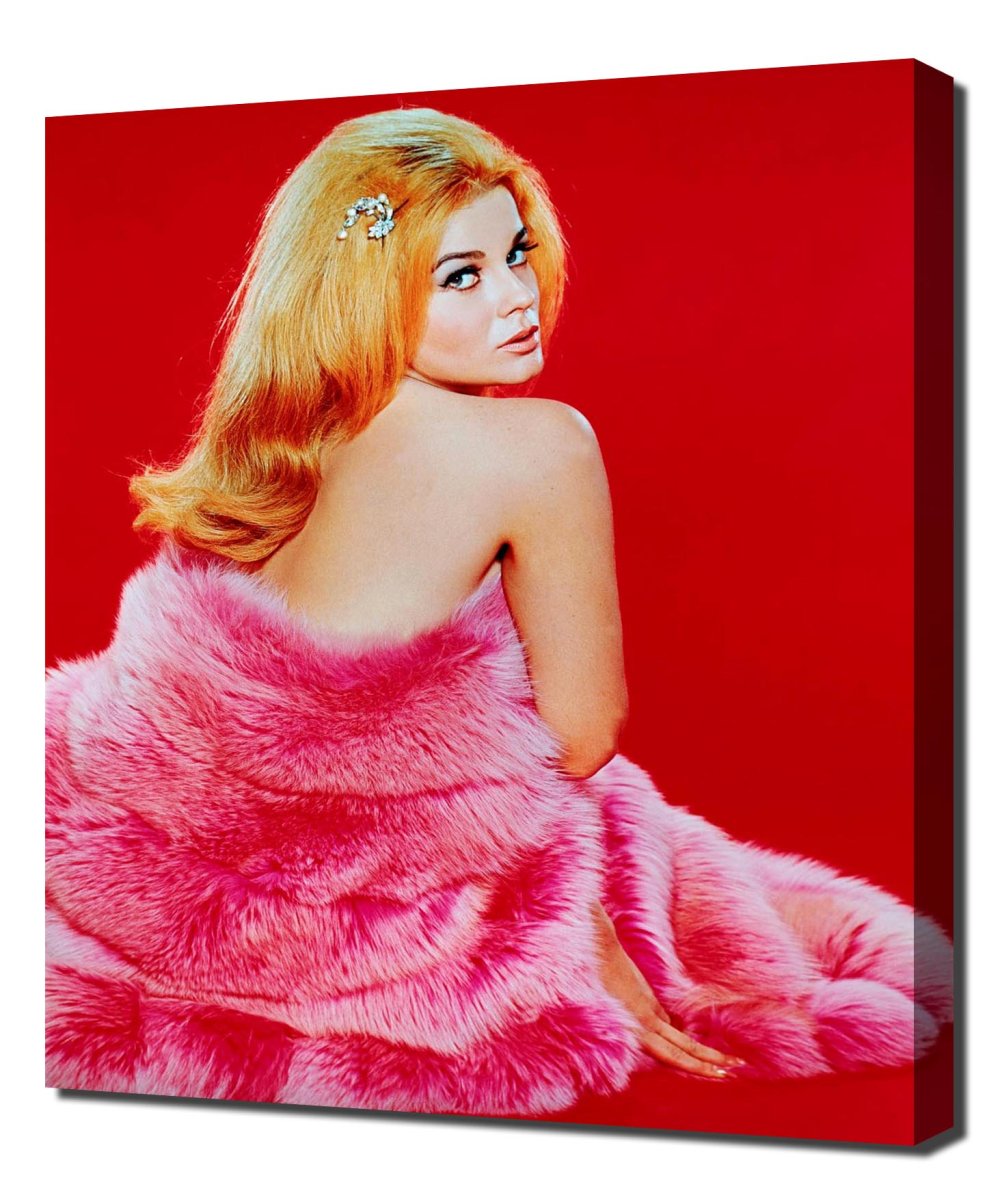 Ann-Margret in his youth and now