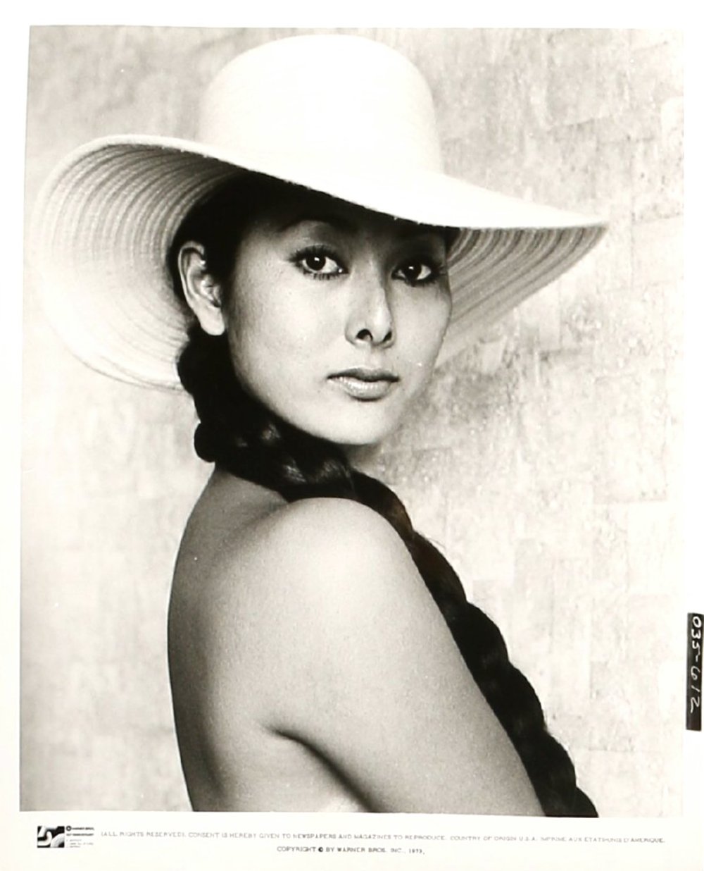 Lindsay Wagner model