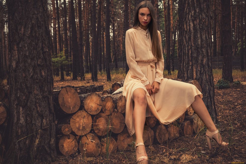 Elin Eneji Model