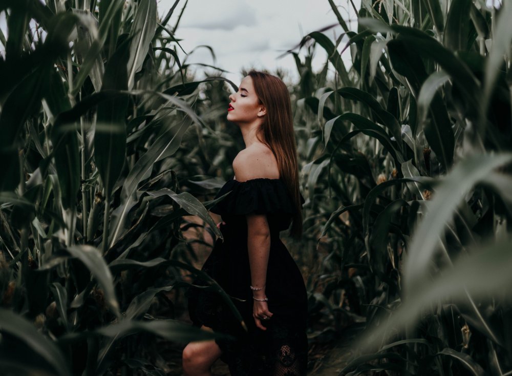 Photography in the corn field