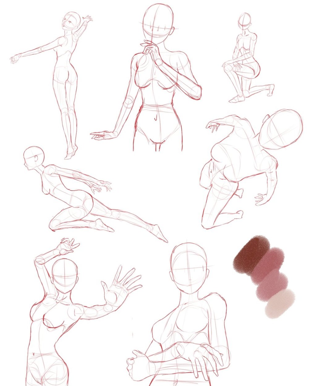 Anatomy Furry for drawing hands