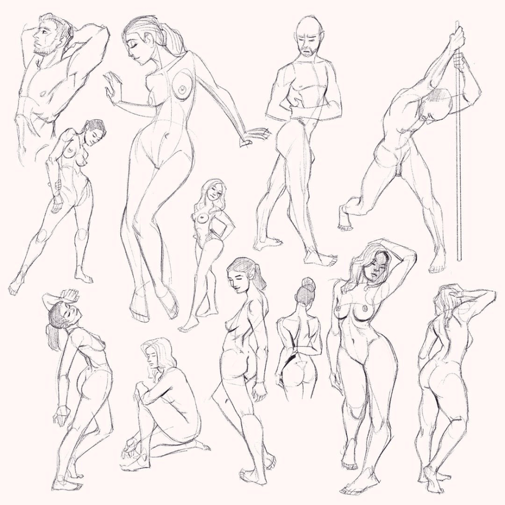 Anatomy reference poses
