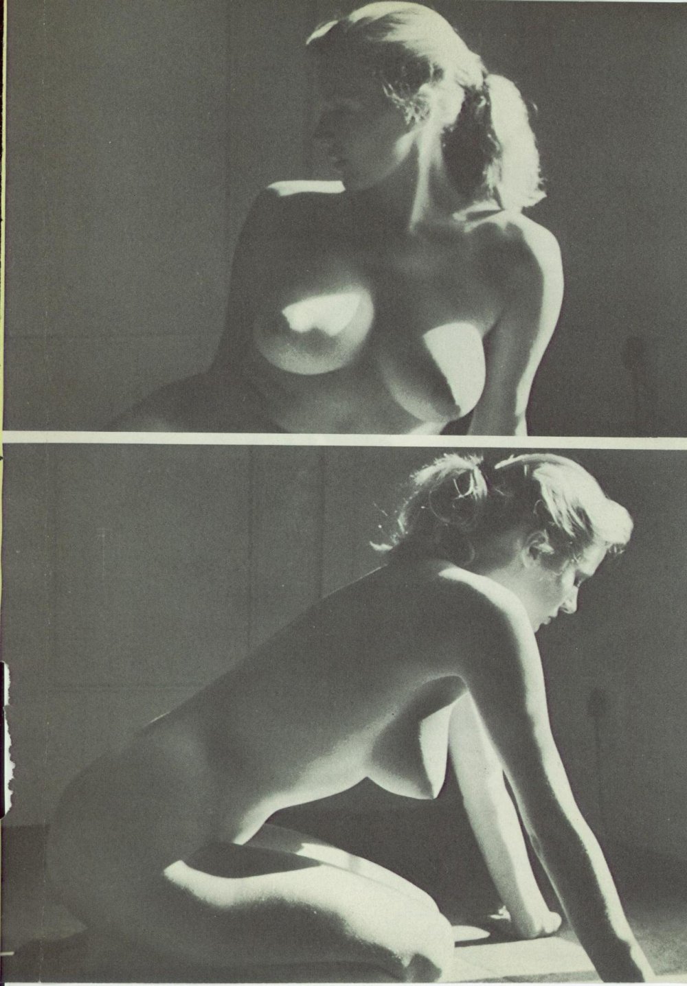 Porn actress Anita Ecberg