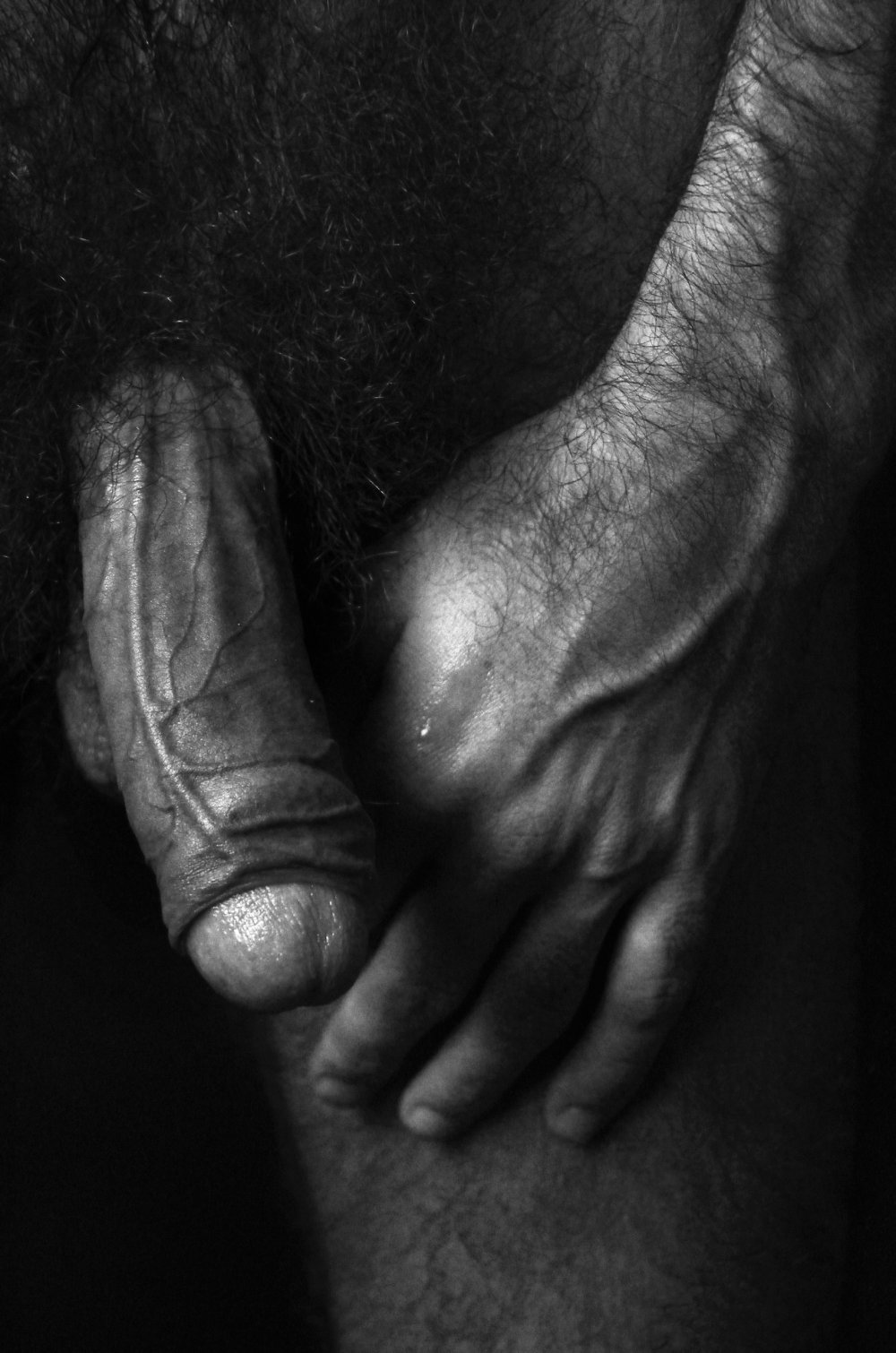 Male dick black white
