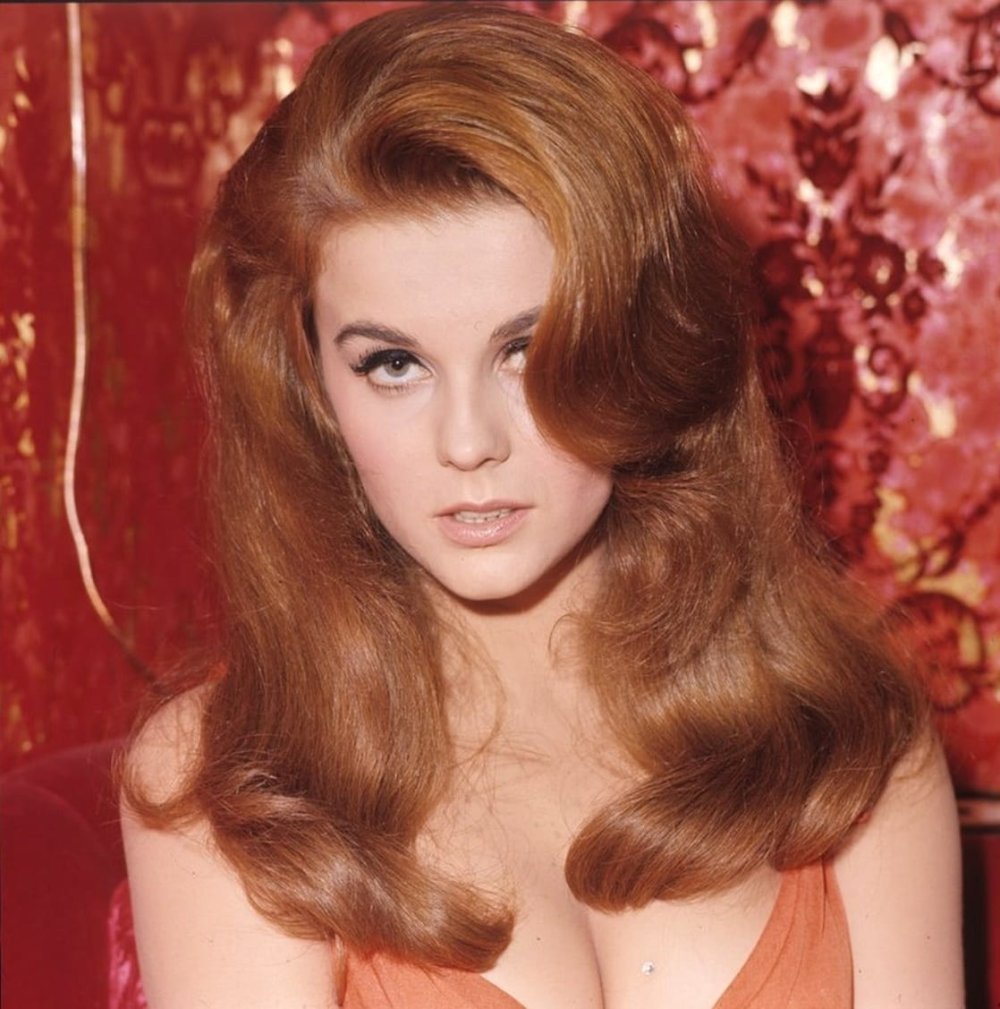 Ann Margret Vietnam