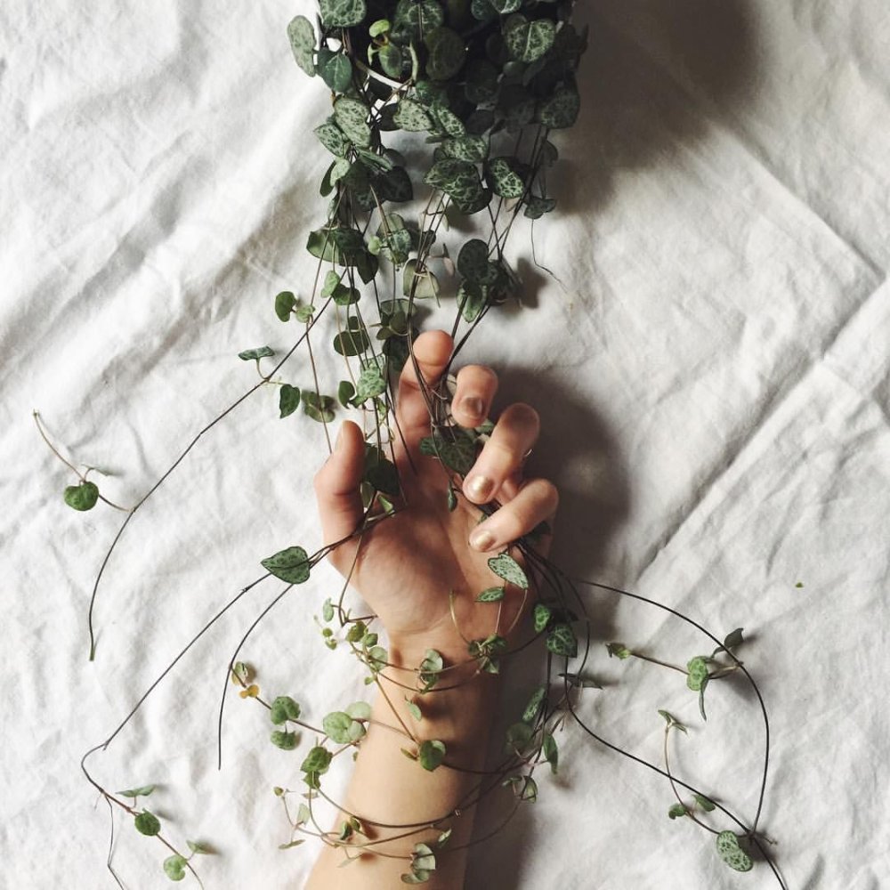 View of the body of a girl in the water aesthetics