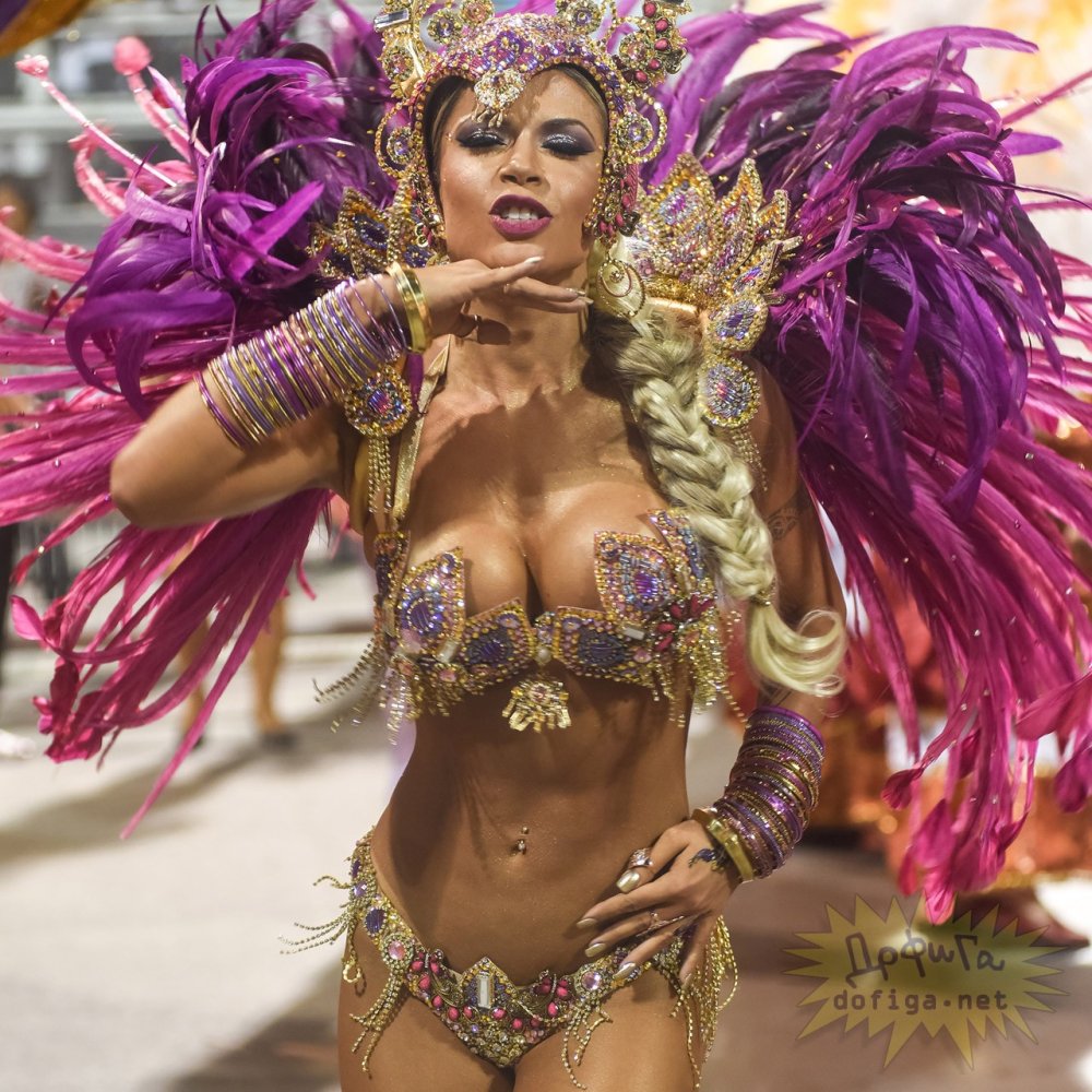 Carnival in Rio de Janeiro 18 +