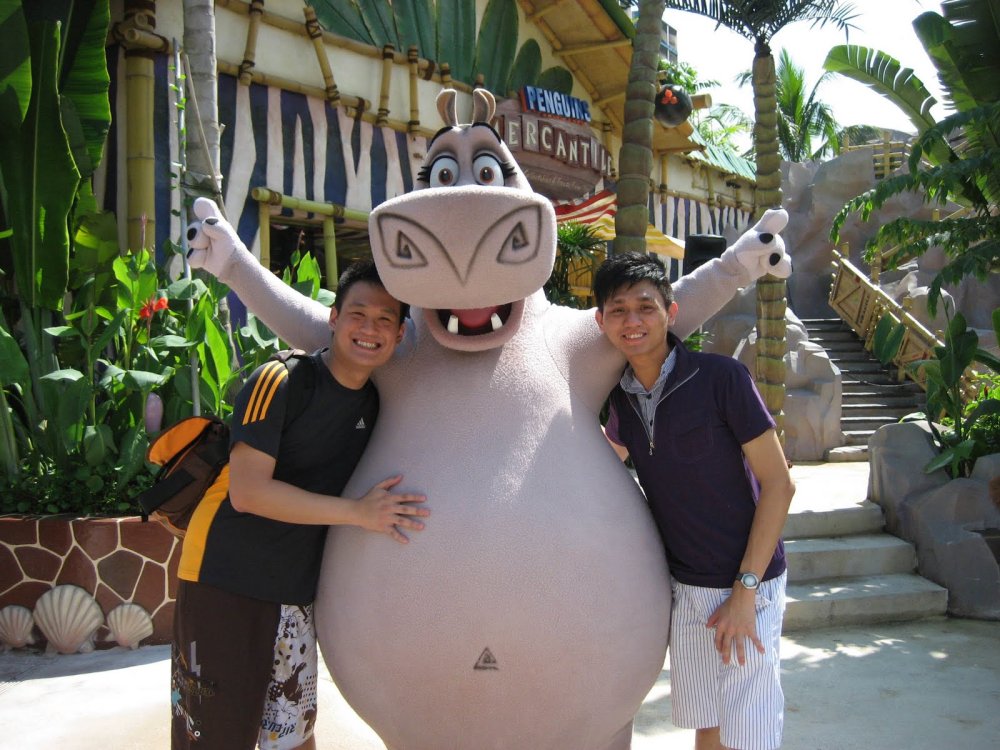 Melman and Gloria from Madagascar