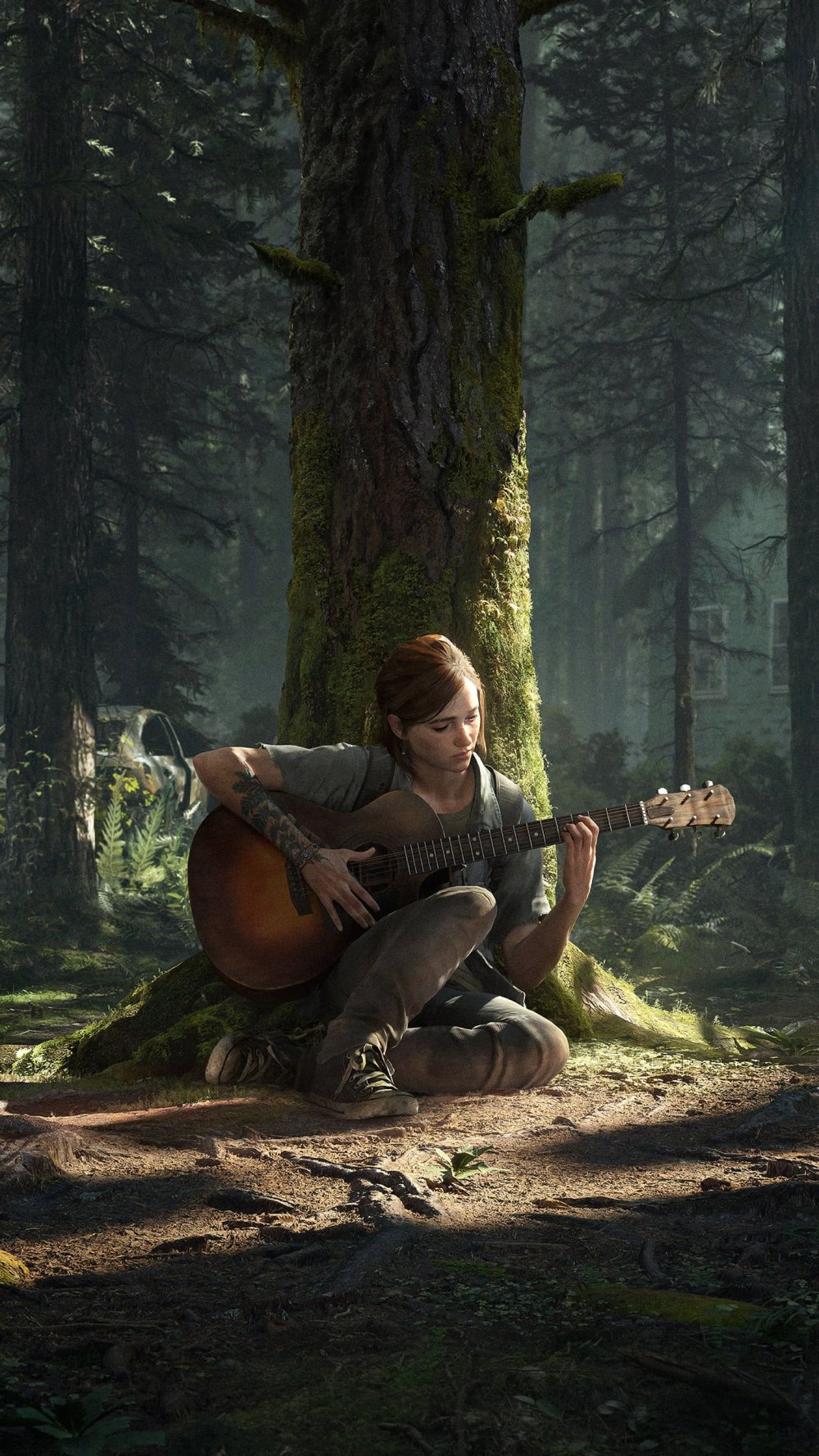 Ellie Williams The Last of US Art