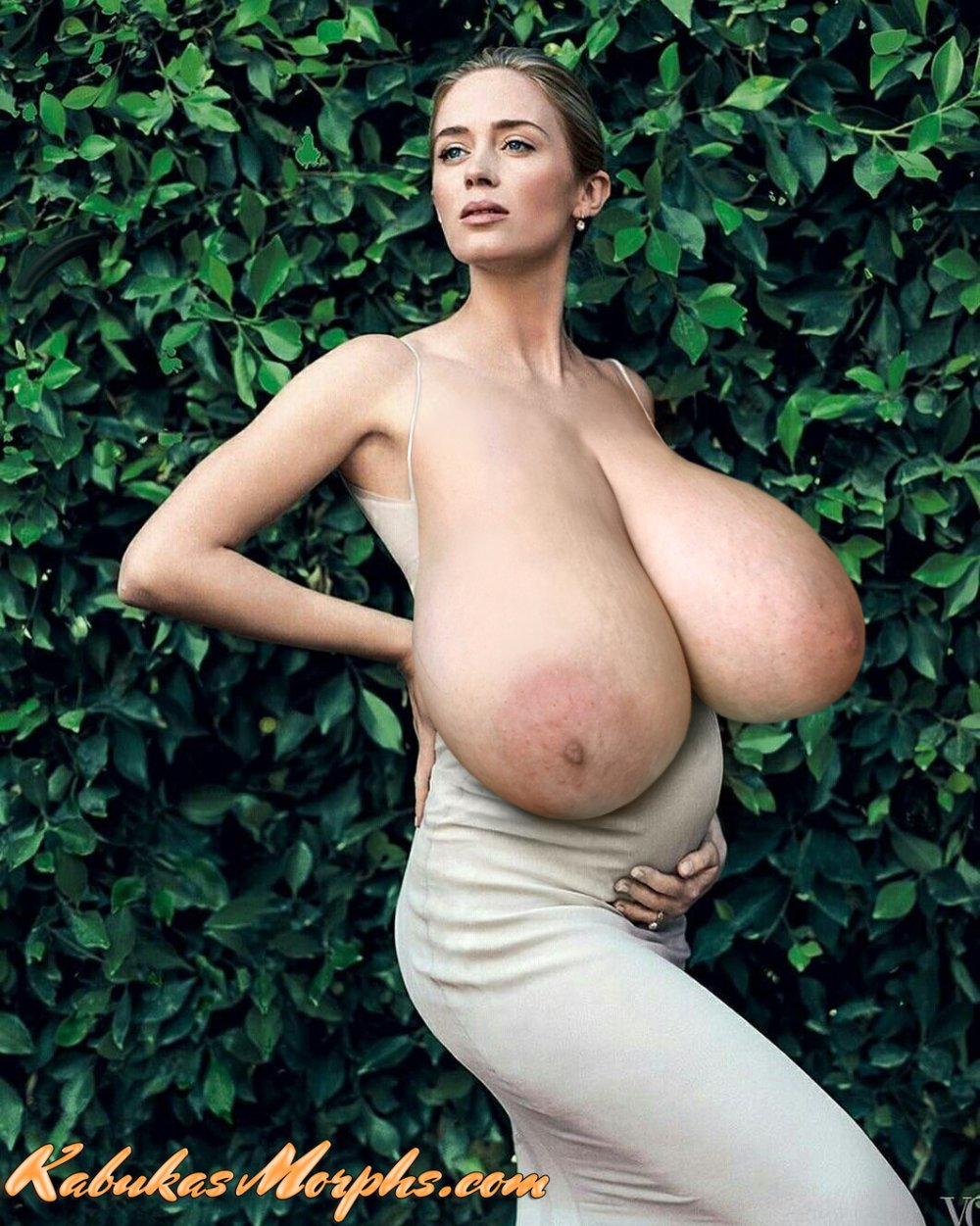 Pregnant Boobs Morphed 3D Kailey Kuoko Chapman