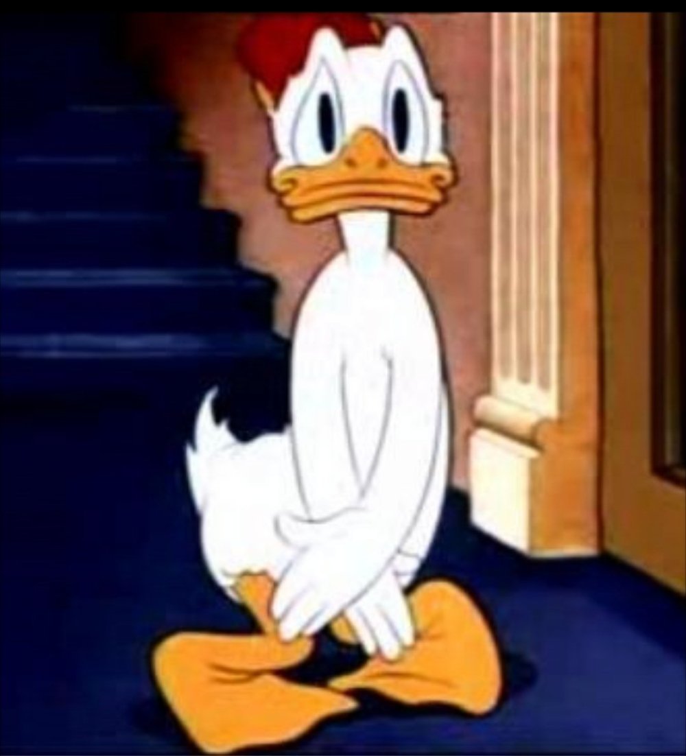 Donald Duck and Daisy Love