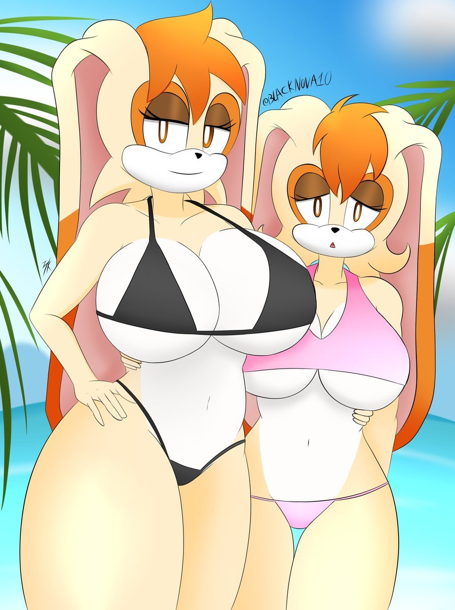 Vanilla and Crime from Sonic