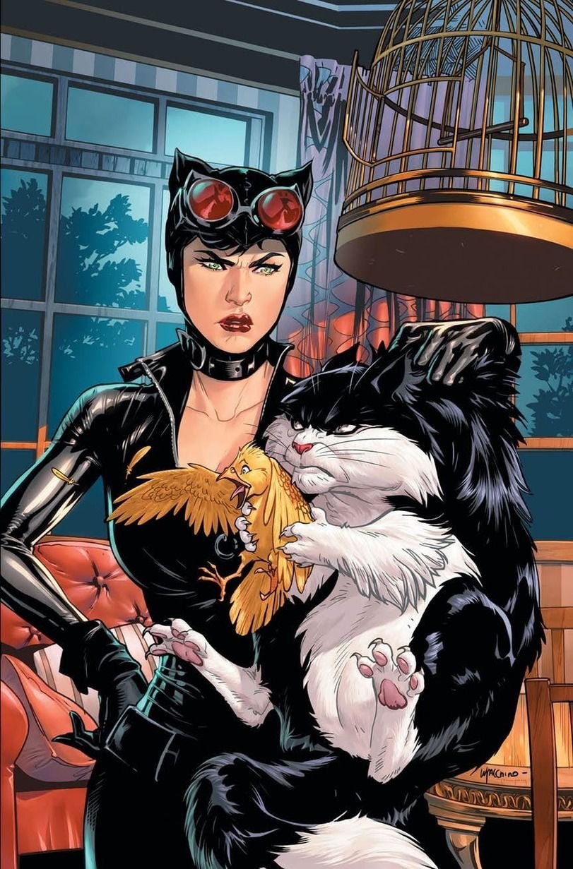 Gotham Selina and Bruce Art