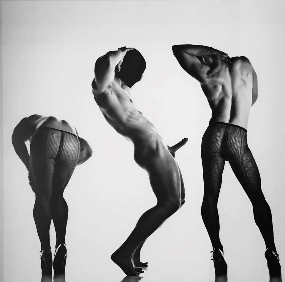 Beautiful naked men's members