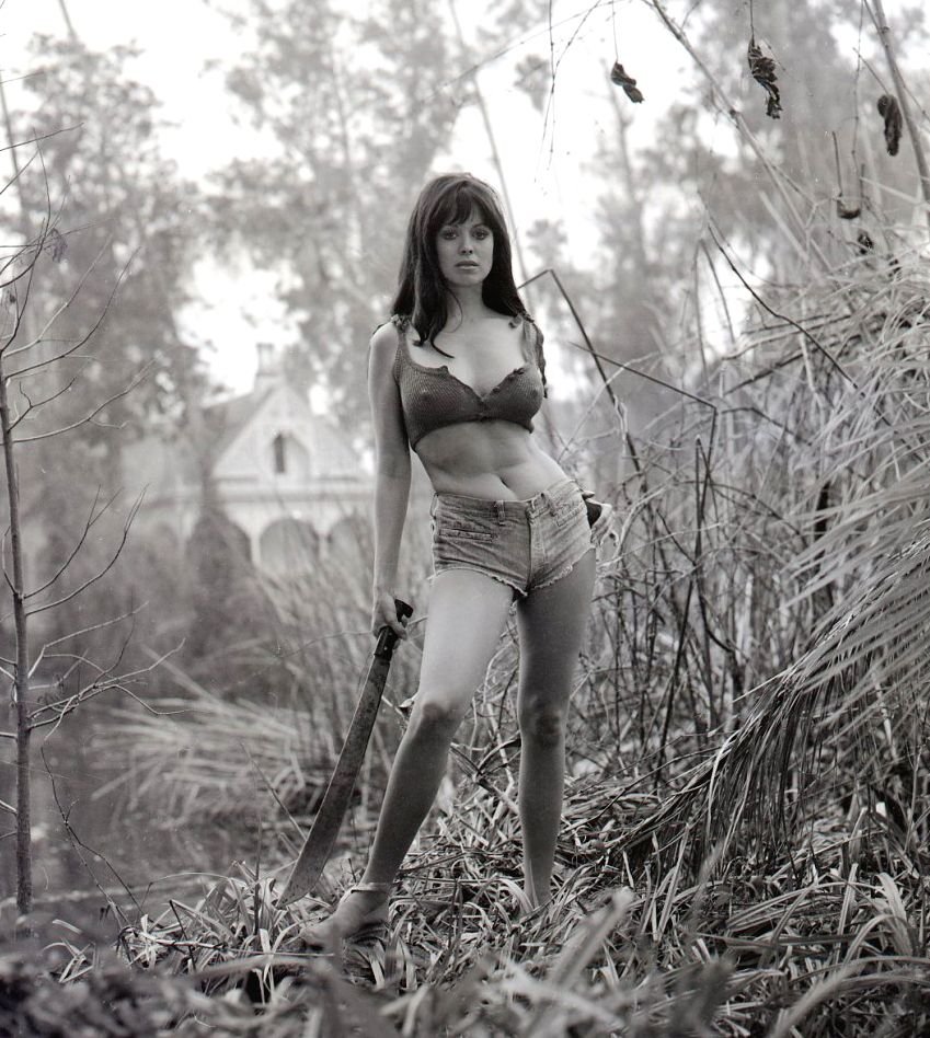 Phillis Davis Sweet Sugar