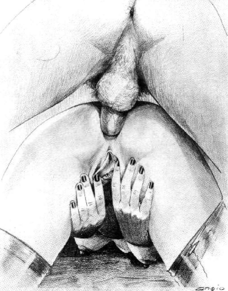 Pornographic drawings