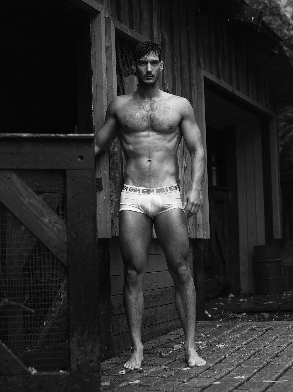 John Abrahams torsos