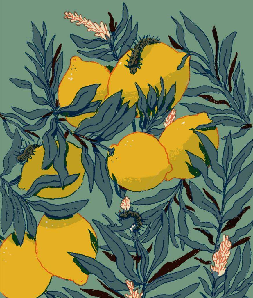 Mary Dixon Ave Mary Plum