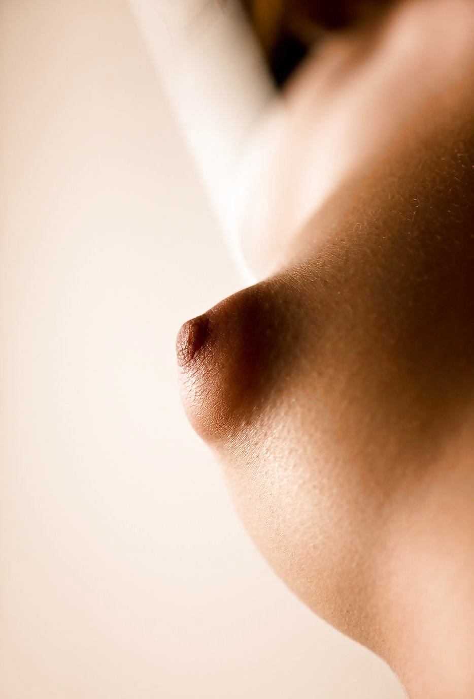 Miniature blonde boobs