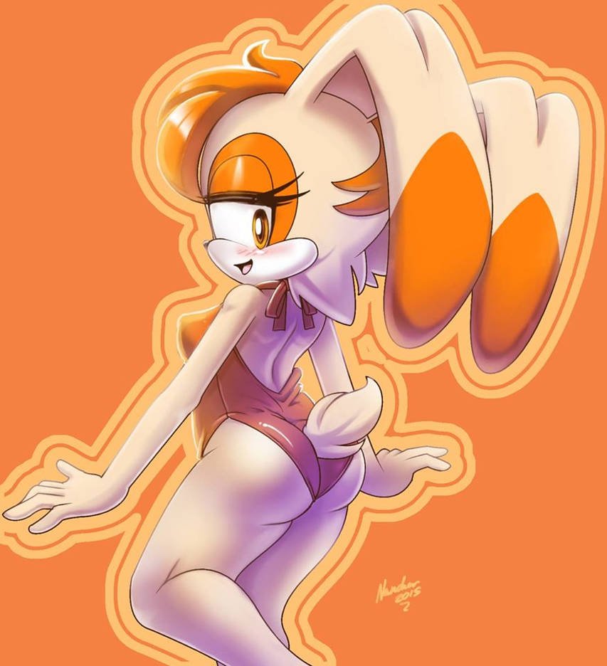 Tails X Vanilla The Rabbit X Rouge The Bat