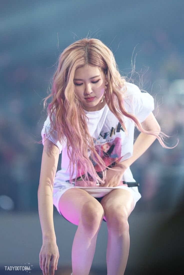 Black Pink Rose +18