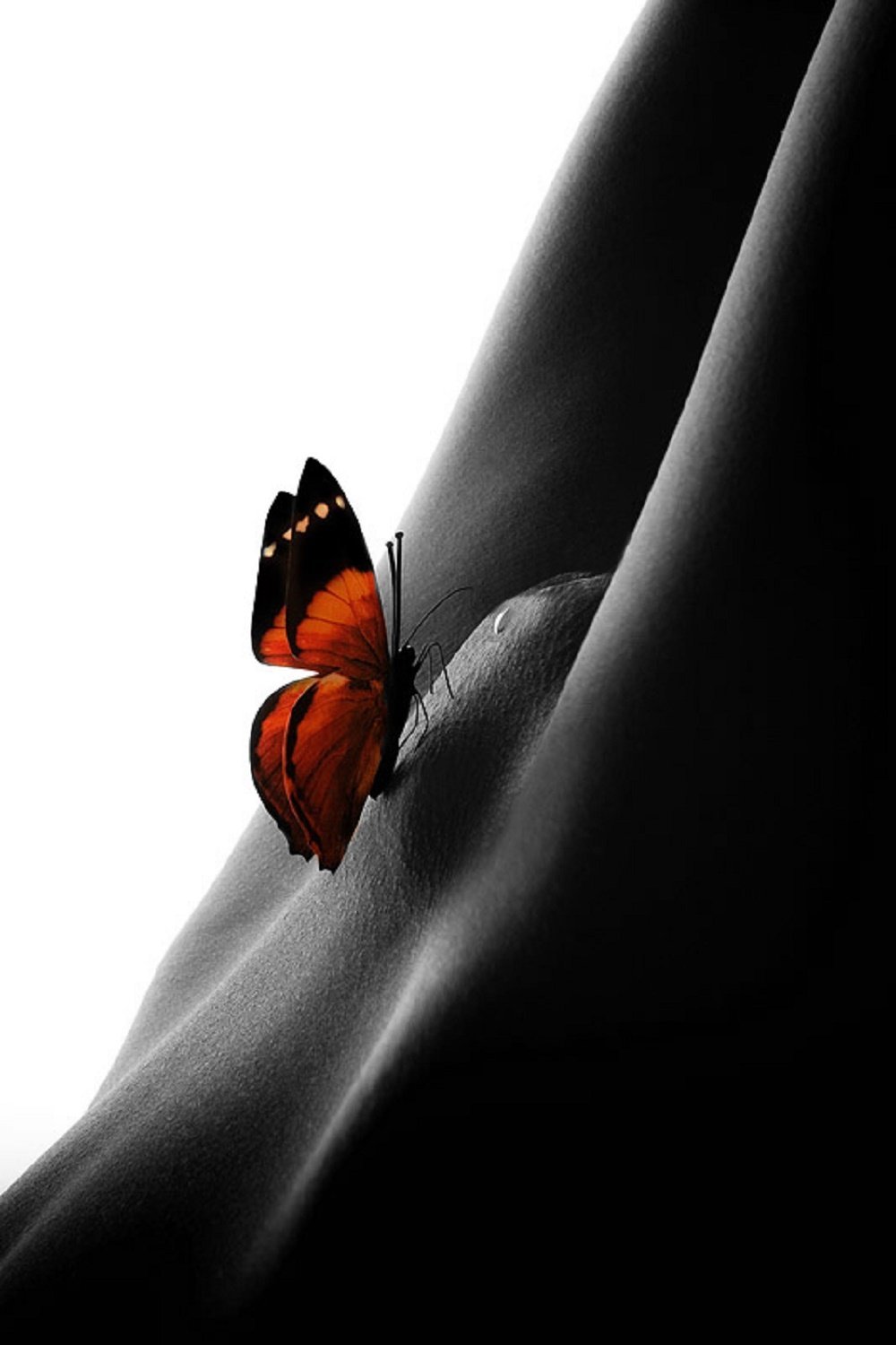 Erotic macro photography
