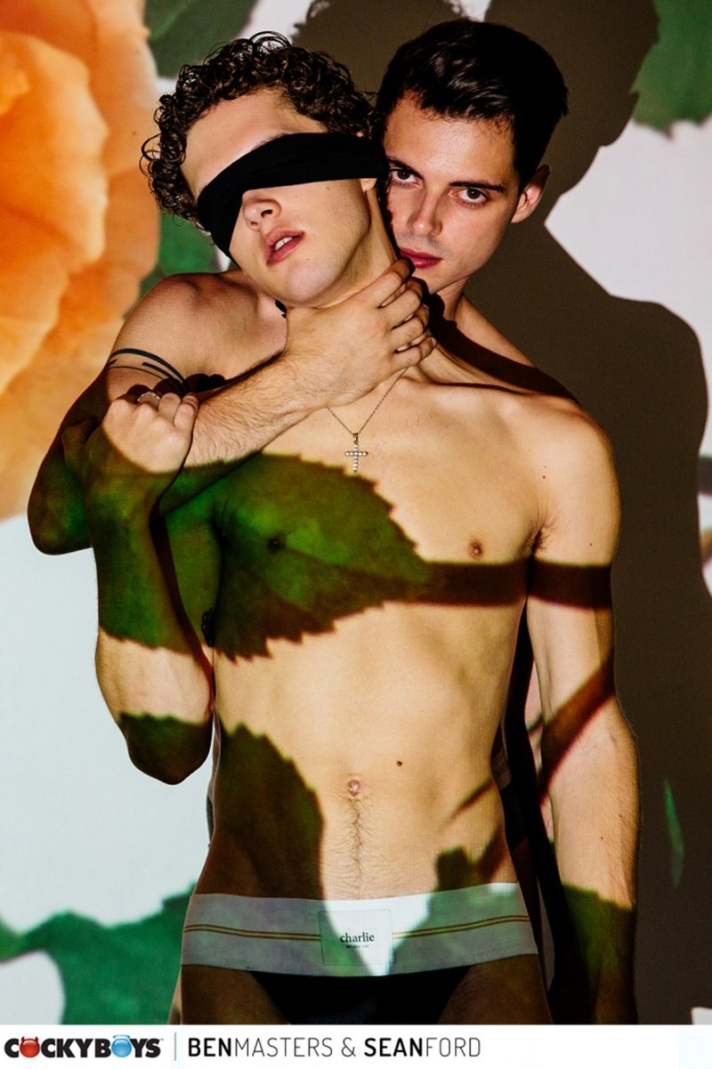Cockyboys Harper 2