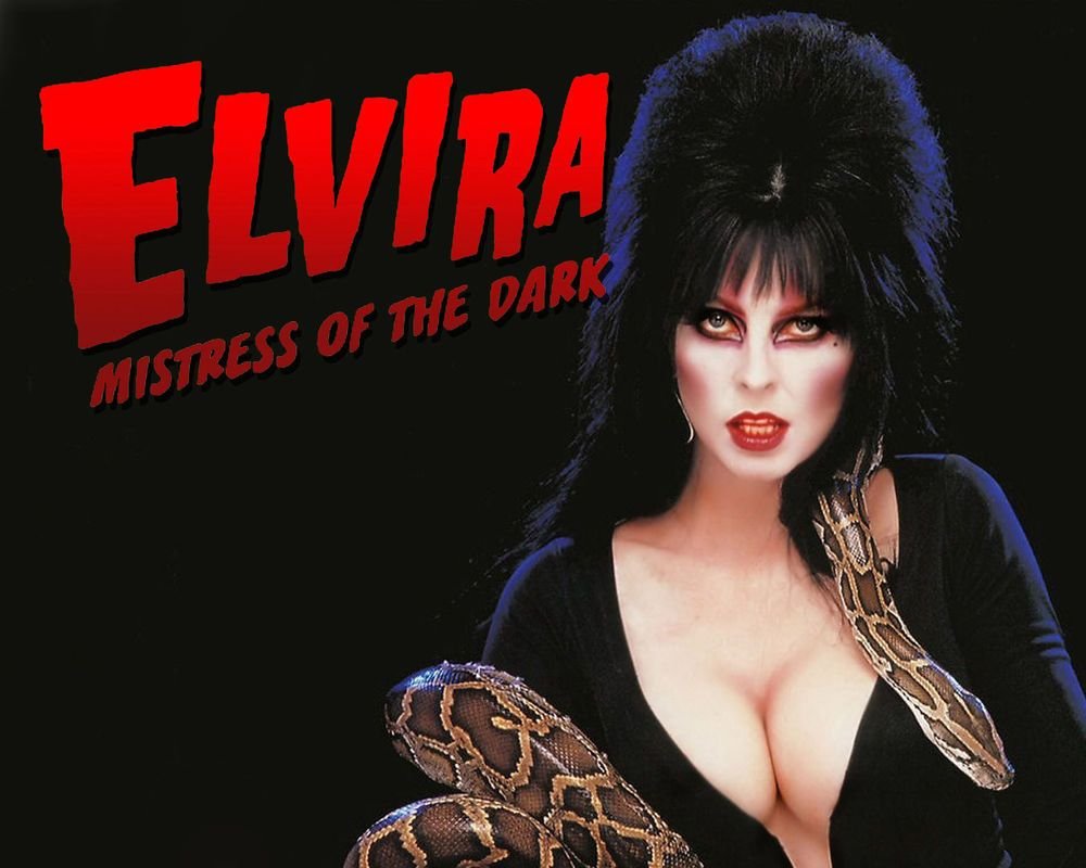 Elvira Lord of Darkness Art