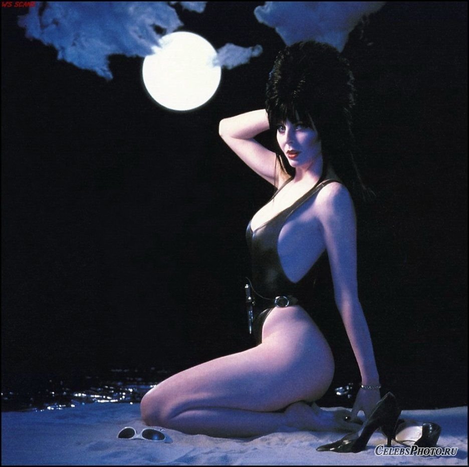 Elvira Lord of Darkness