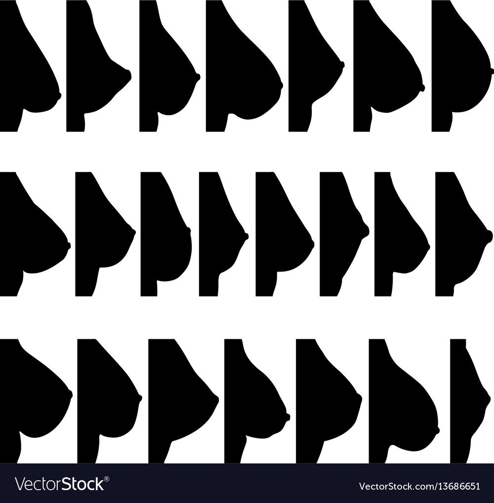 The average form of female breast