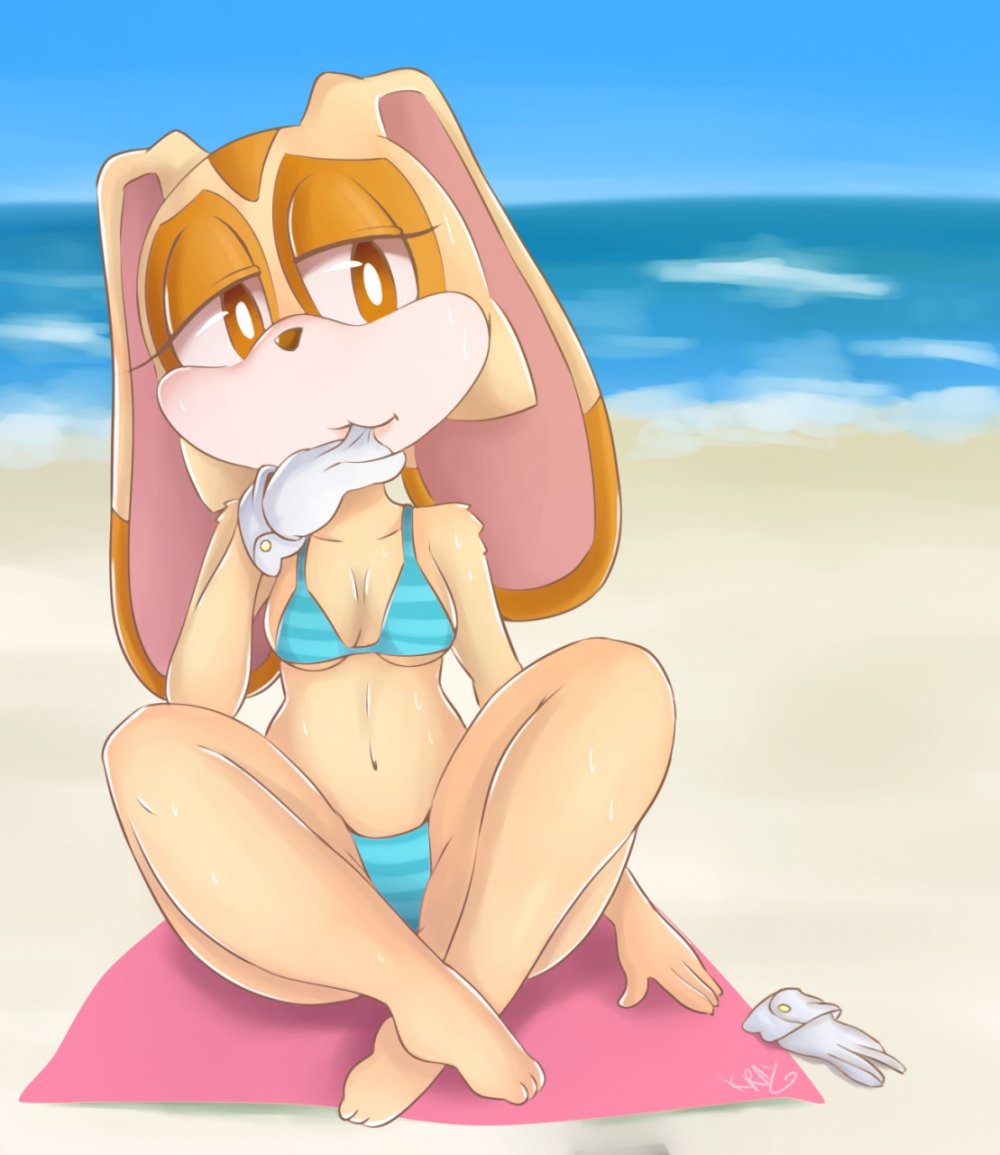 Rouge The Bat Vanilla