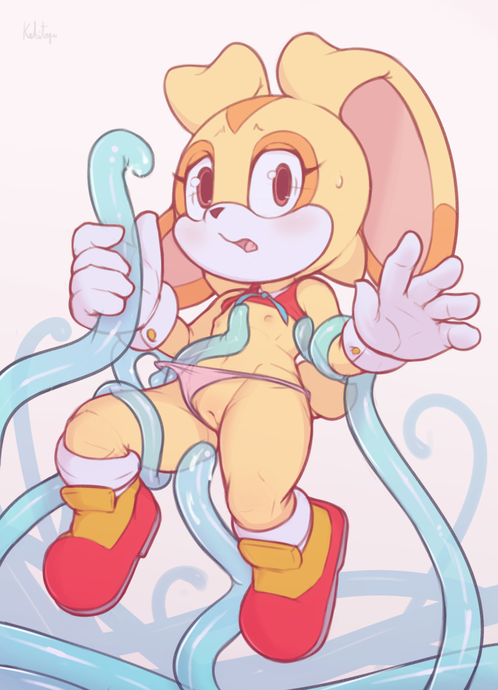 Sonic X Rabilchikha Vanilla