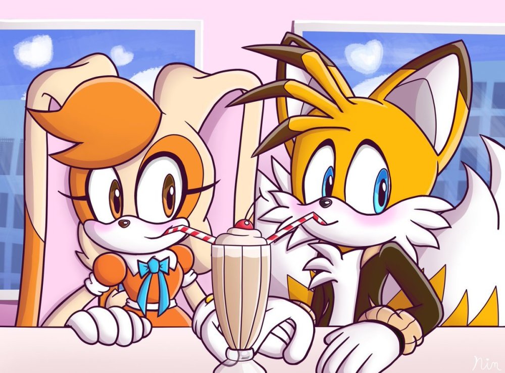 Sonic X Rabilchikha Vanilla