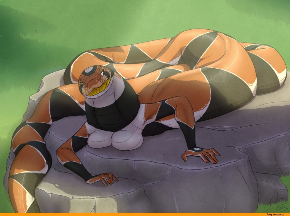 Vore Furry Fox Last Sip