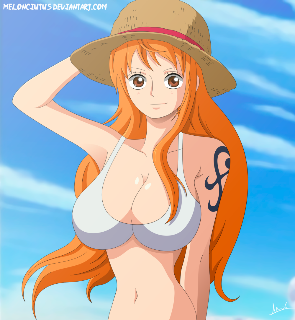 One Piece Nefertari Vivi Boobs