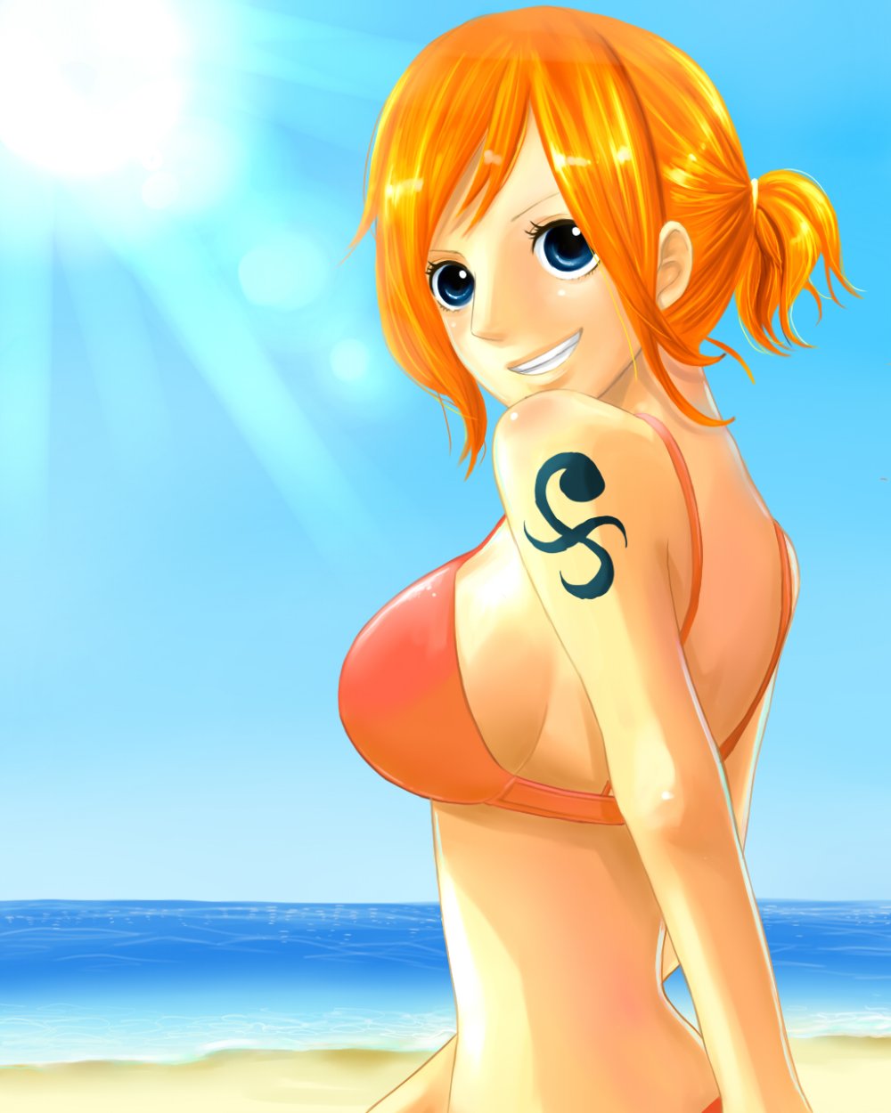 One piece nami harlot