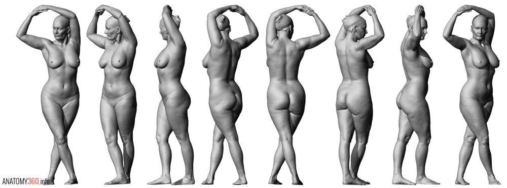 Naked female body in full height