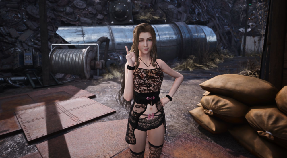 Fallout 4 Mod Companion Raider