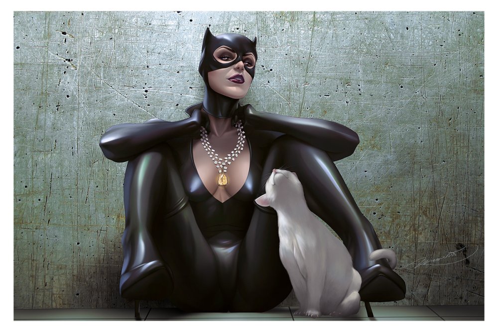 Batman Arkham City Woman Cat