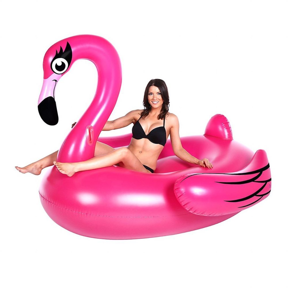 Flamingo Pool Float